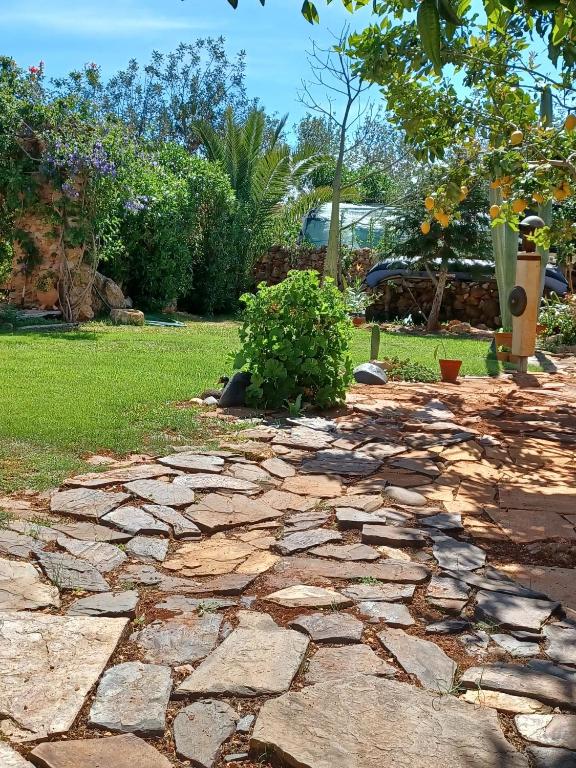 a stone walkway in a yard with a bush at Casa Bril in Cumeada