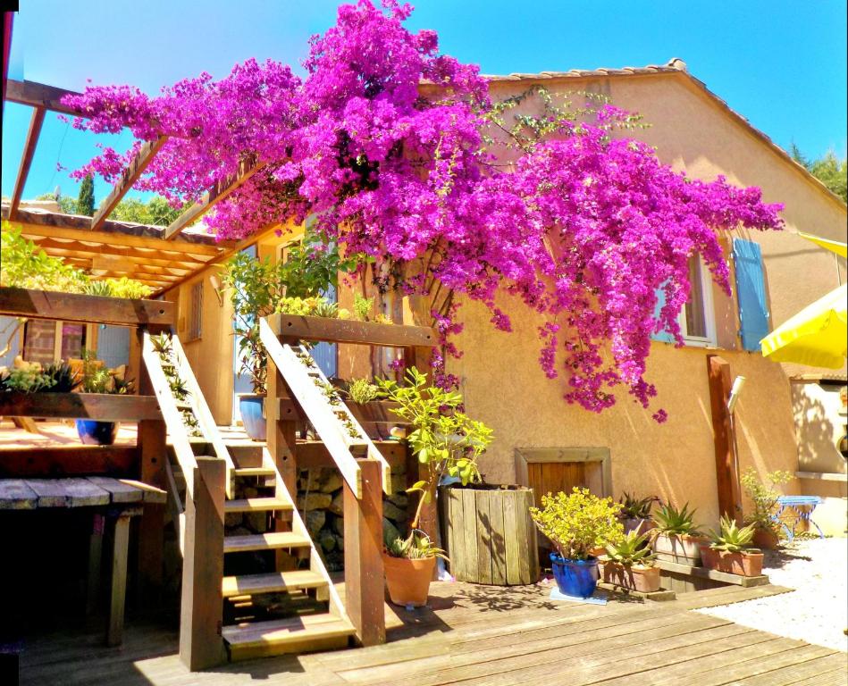 un arbre aux fleurs violettes suspendu à un bâtiment dans l'établissement LOU PANTAI, à Villeneuve-Loubet