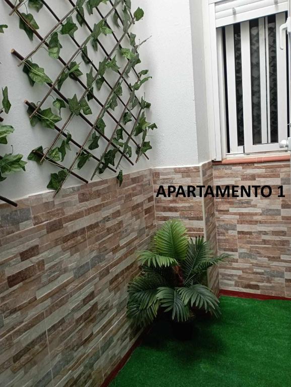 Fotografie z fotogalerie ubytování Apartamentos en Tarifa Baelo v destinaci Tarifa