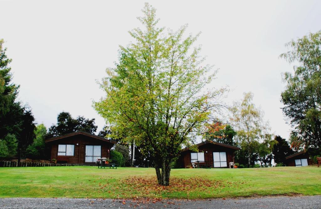 The Chalets Motel - Resim 19