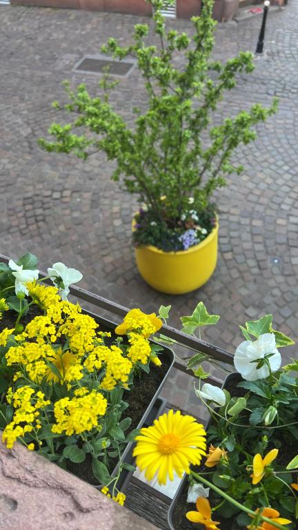 Gite BI UNS chez Silvana – photo 25