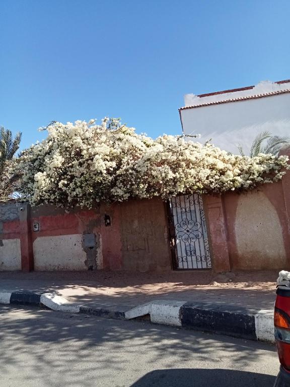 Kép House in dahab szállásáról Dahabban a galériában