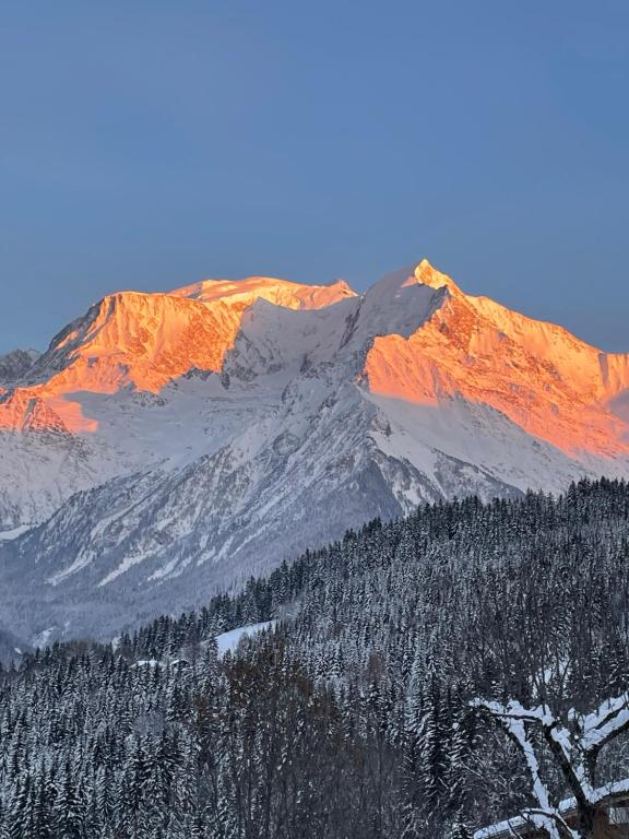 une montagne recouverte de neige et d'arbres devant dans l'établissement Vue splendide Mont Blanc, à Saint-Gervais-les-Bains