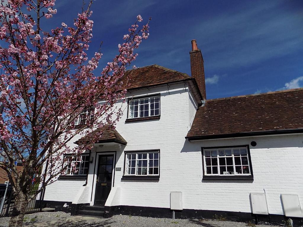 uma casa branca com uma árvore em frente em Double Award Winning, Stunning 1700's Grd 2 listed cottage near Stonehenge - Elegantly Refurbished Throughout em Amesbury