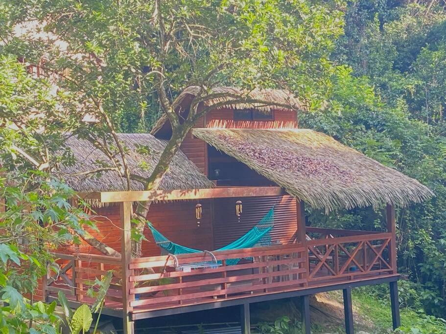 薩萊比梅的住宿－Bungalow Ti Zaboka，小屋设有茅草屋顶和2张吊床