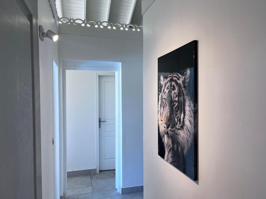 Fotografie z fotogalerie ubytování Villa Taïana v destinaci Oyster Pond