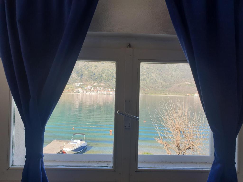 Daire yakınında doğal manzara