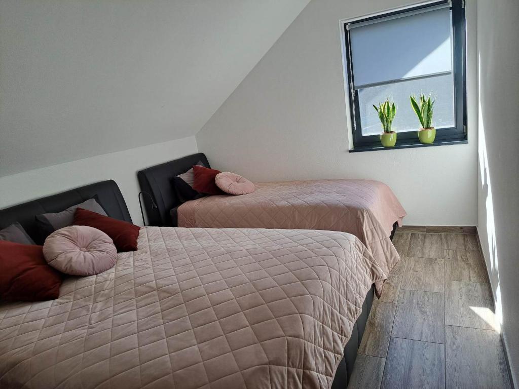 a bedroom with two beds and a window with plants at Apartmaji Tisa in Žana in Rovte