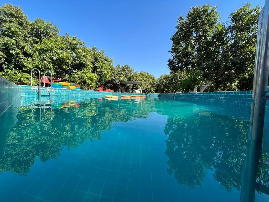 una piscina con agua azul y árboles en Amraness Luxury Resort Sasan Gir, en Sasan Gir