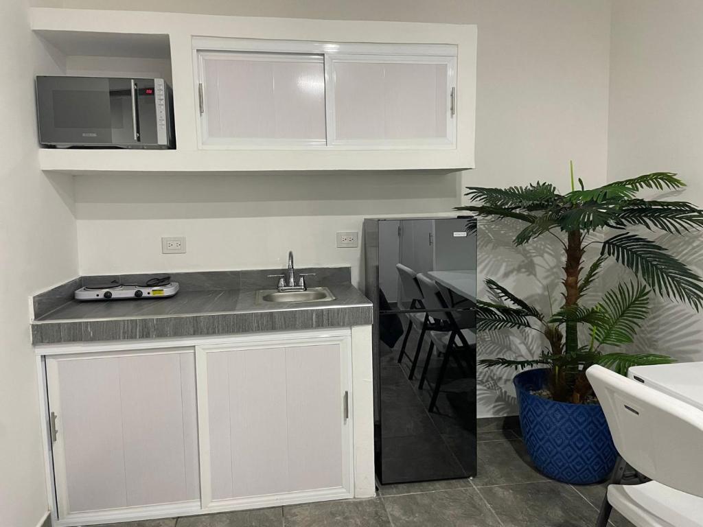 Kuchyň nebo kuchyňský kout v ubytování Posada 53