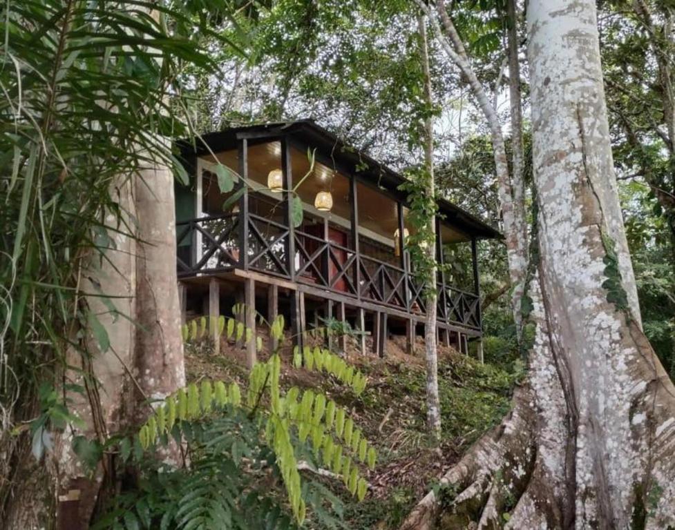 a house in the middle of the forest at Eco Hotel Aldea -AMAZONAS in Puerto Nariño