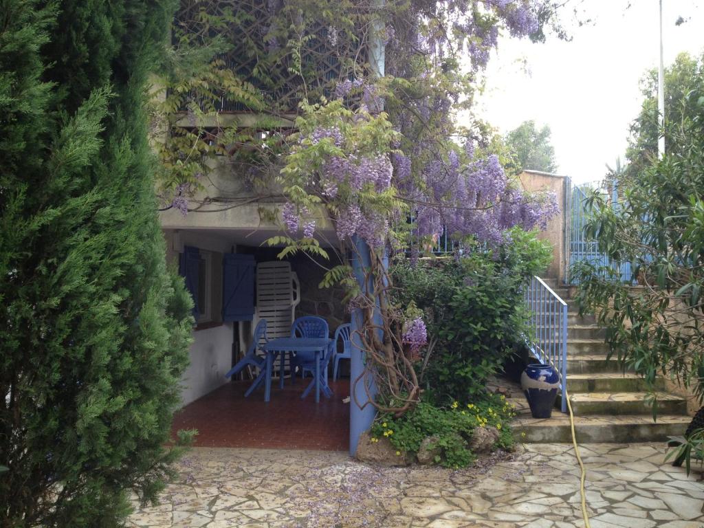 un jardín con una corona de flores púrpuras en Maison du cèdre, en Cavalaire-sur-Mer