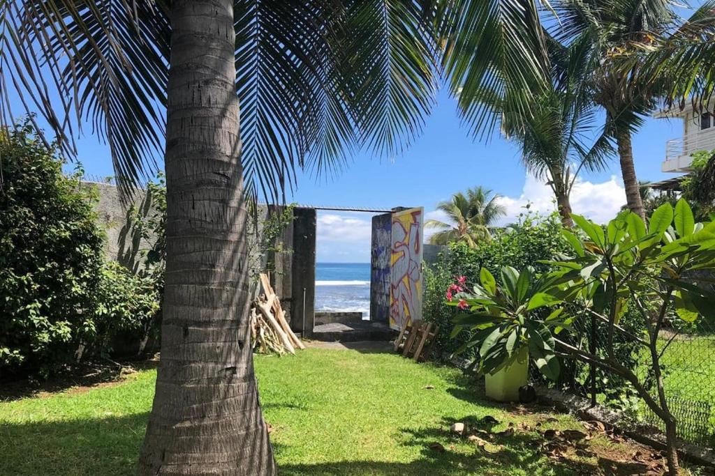 Beach studio - photo 5 - Tahiti, Polynésie
