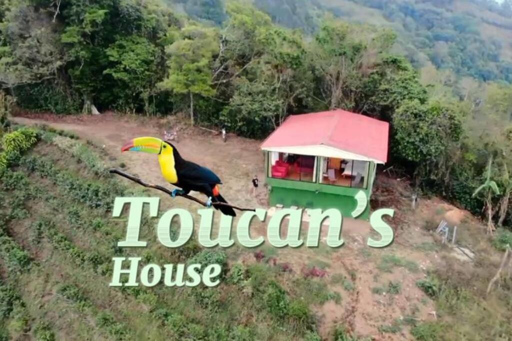 Monteverde