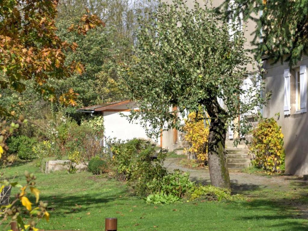 Ein Baum in einem Hof neben einem Haus in der Unterkunft Gîte Saint-Symphorien-de-Lay, 3 pièces, 4 personnes - FR-1-496-278 in Saint-Symphorien-de-Lay