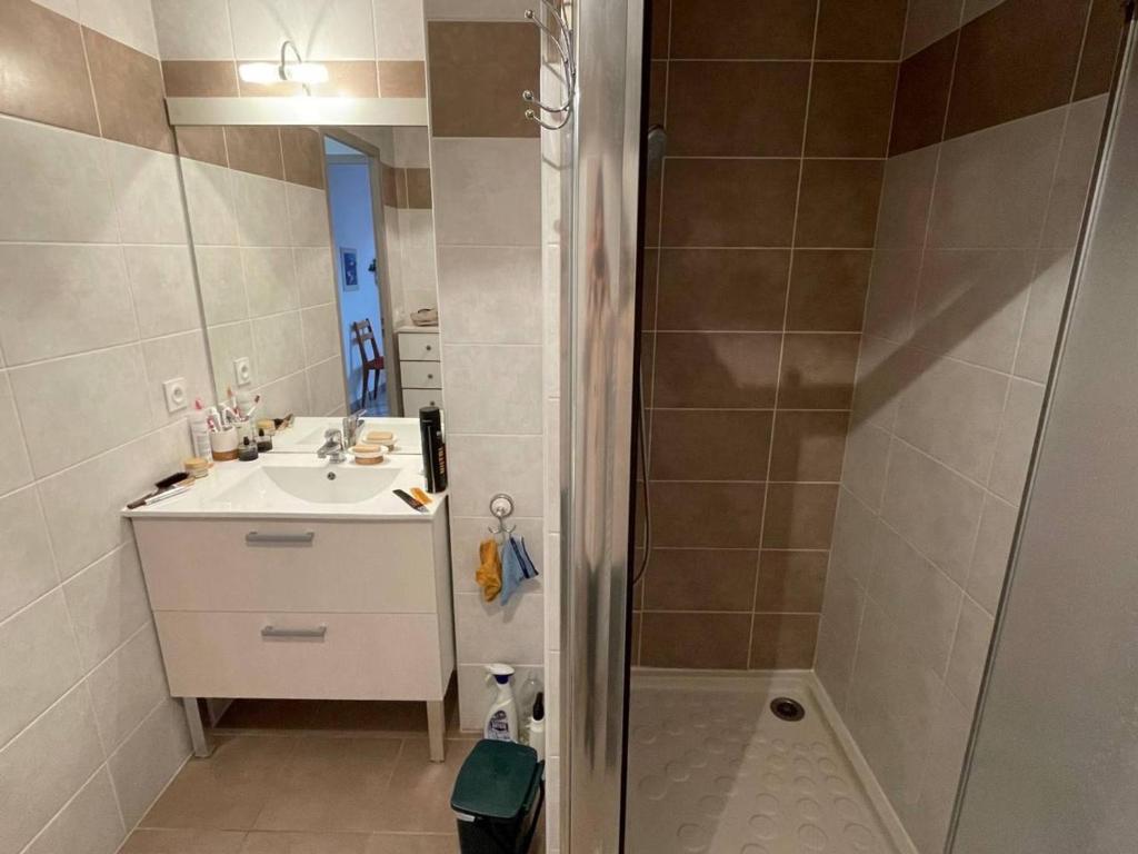 Kúpeľňa v ubytovaní Appartement 3 pièces avec terrasse et jardin, proche plage et commerces, 2 parkings, Argelès-sur-Mer - FR-1-225-773