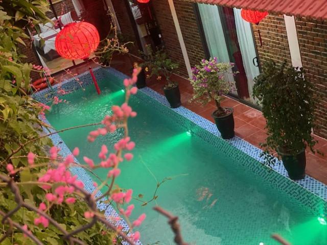 a swimming pool with potted plants next to a house at Sunshine villa thuy bieu in Hue