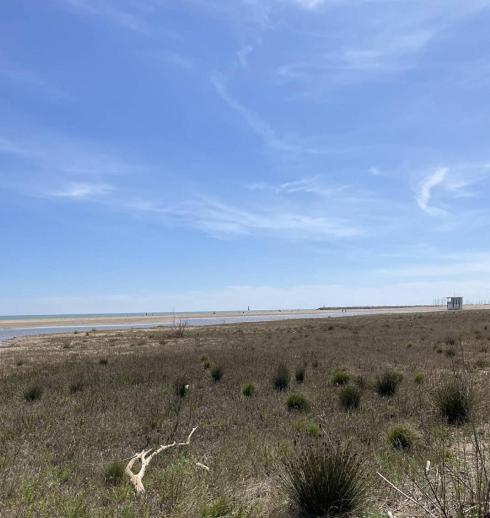 un terrain en plein air avec une plage au loin dans l'établissement Appartement Front de Mer à Saint Pierre La Mer 4PAR14, à Saint Pierre La Mer
