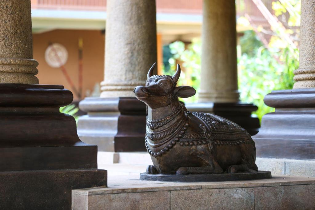 Fotografie z fotogalerie ubytování Kaveri Resort Sigiriya v destinaci Sigiriya