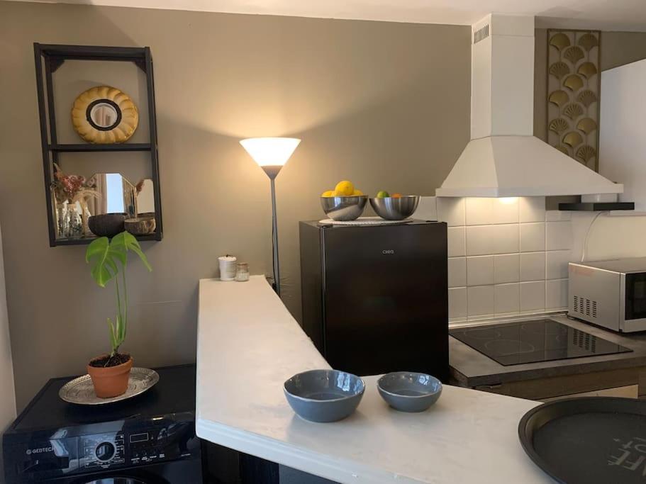 Kuchyňa alebo kuchynka v ubytovaní Appartement chic & cosy, cœur de ville Perpignan