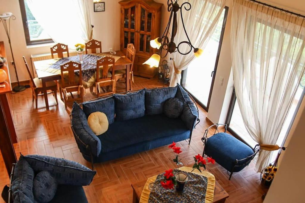 sala de estar con sofá azul y mesa en Nice house in Euboea en Politiká