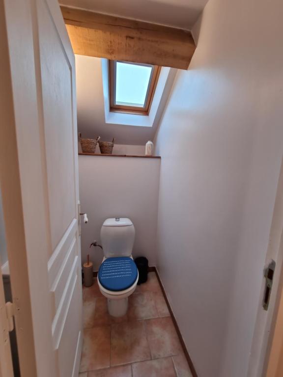 a small bathroom with a toilet with a blue seat at La Ferme de Philomène - Gîte en Périgord Noir in Sainte-Foy-de-Belvès