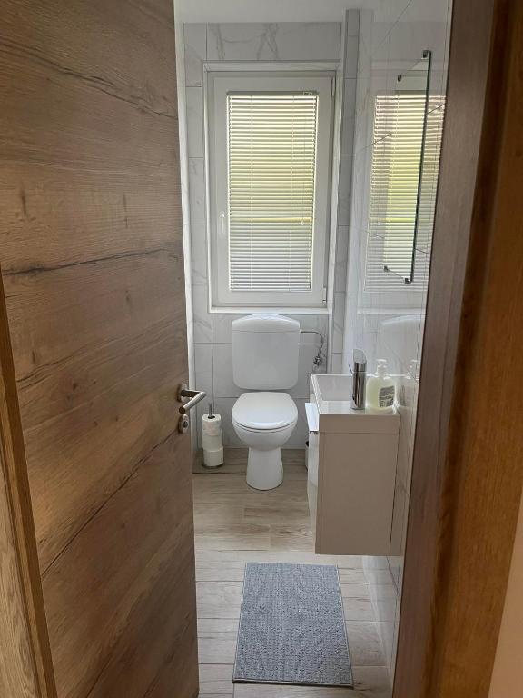 Koupelna v ubytování Apartmaji Seljak
