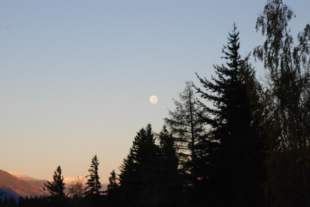 The Chalets Motel - Resim 29