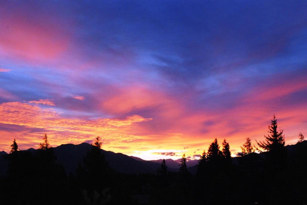 The Chalets Motel - Resim 30