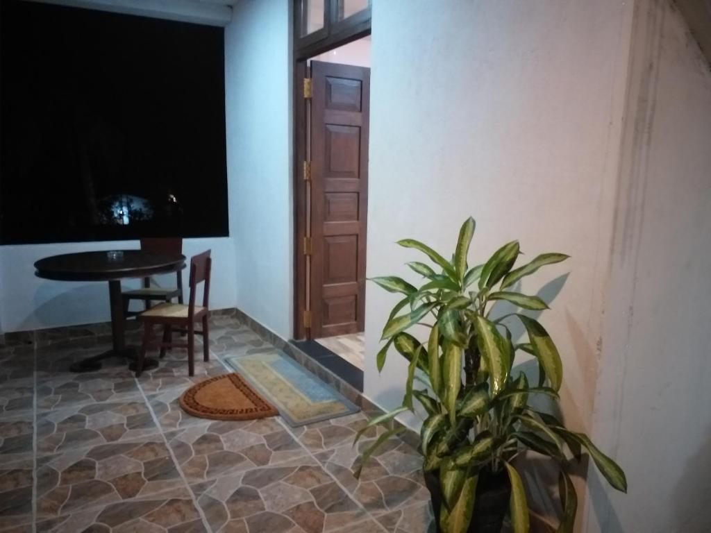 a plant in a room with a table and a door at Hotel La Felicita in Mirissa
