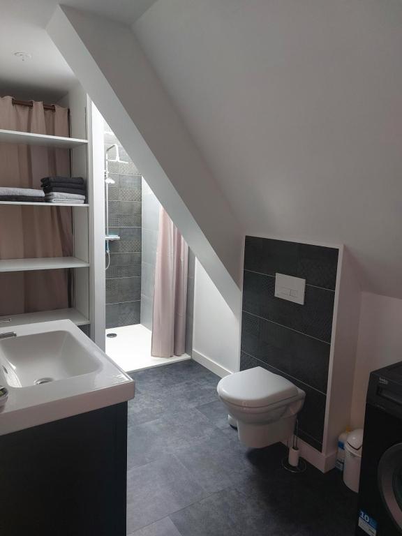 łazienka z umywalką, toaletą i schodami w obiekcie Les gîtes de Denise, proche Saint-Malo au calme w mieście Bonnemain