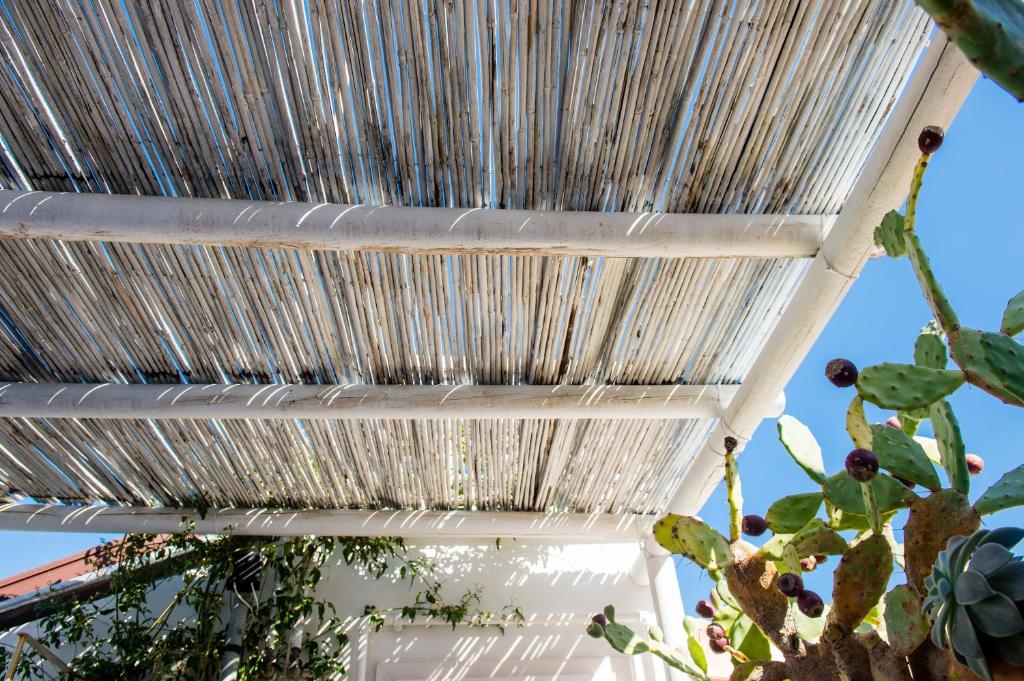 Fotografie z fotogalerie ubytování B&B Casa Dorsi v destinaci Polignano a Mare