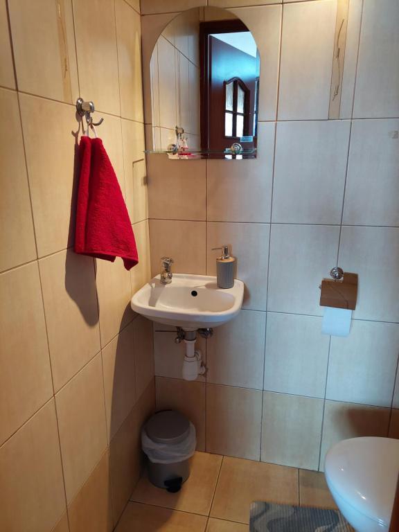 Magnolia Gospodarstwo Agroturystyczne - 17