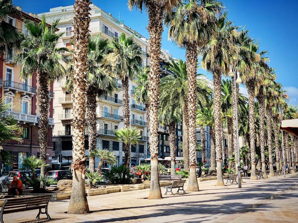 a row of palm trees in front of a building at M. Szwed. Guest House old Bari in Bari