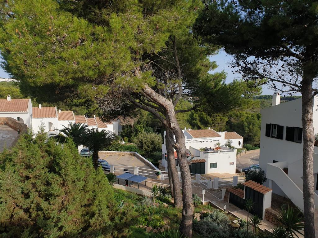 Fotografie z fotogalerie ubytování ADDAIA APARTMENT v destinaci Port d'Addaia