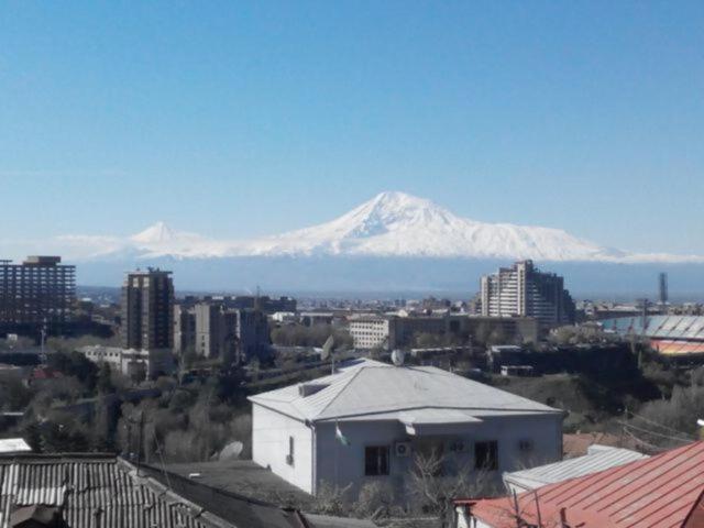 a view of a snow covered mountain in a city at Apartments Aigedzor in Yerevan