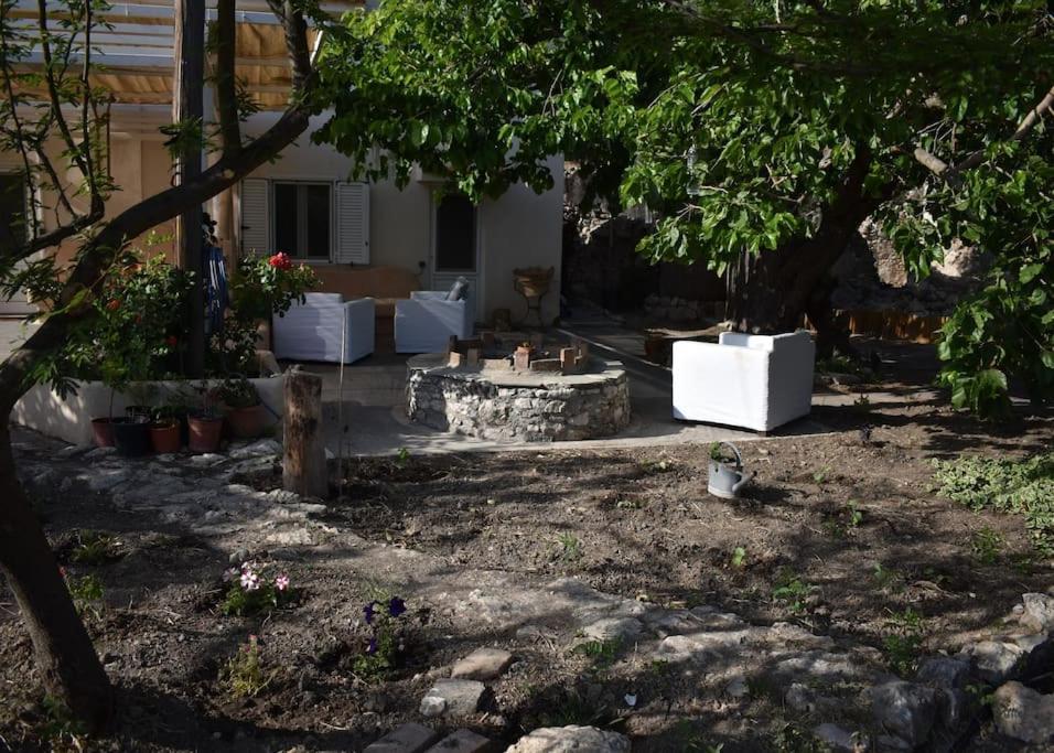 A garden outside Dolichi House