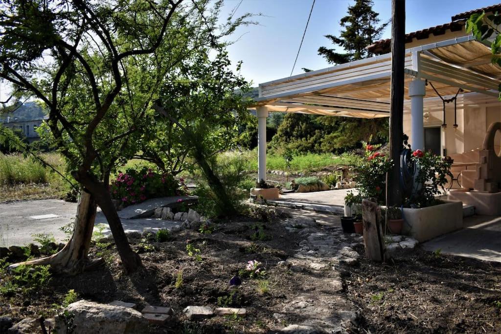 A garden outside Dolichi House