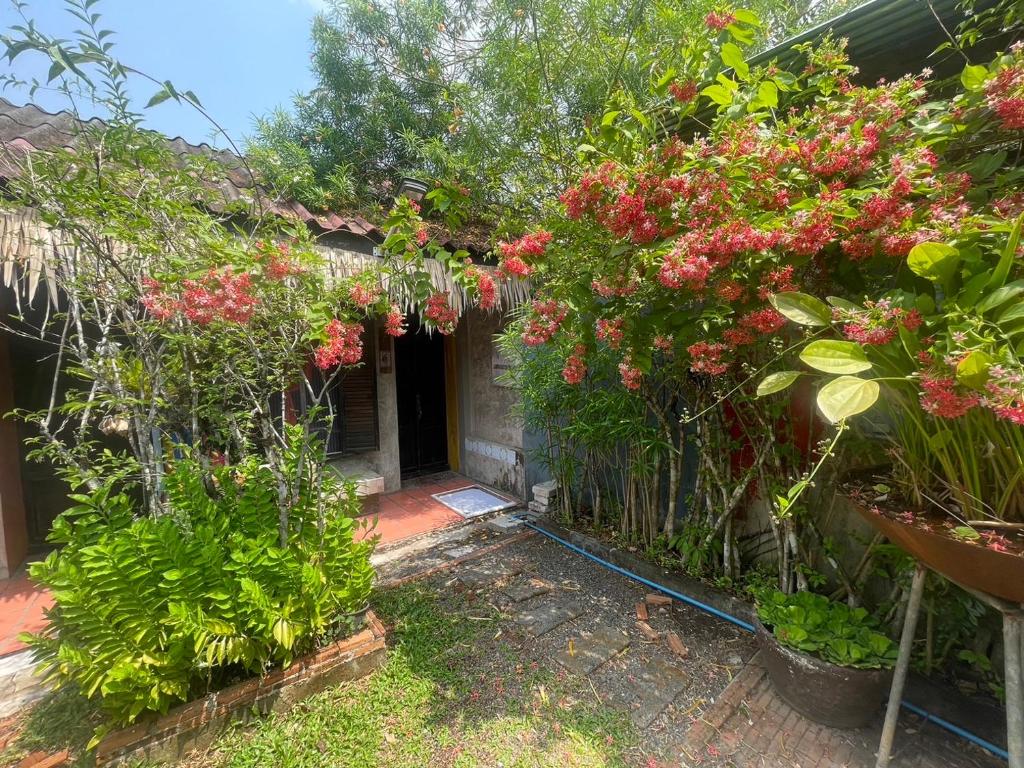 Artist's Place Trat - 3