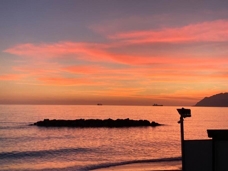 Naturlandskabet i nærheden af lejligheden