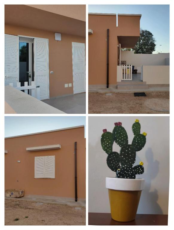 a cactus in a pot in four different pictures at La casetta del Fico d'India in Marsala