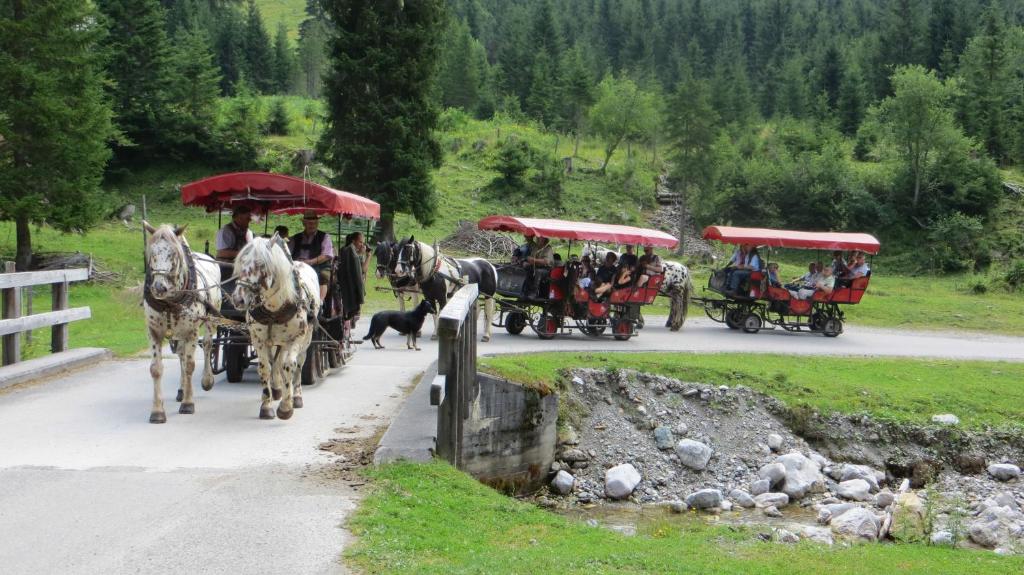Hosté ubytování Am Ferienbauernhof Schmiedbauer com Salzkammergut