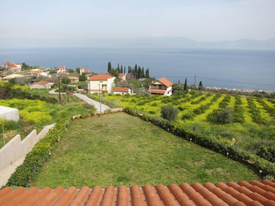 een uitzicht vanaf het dak van een huis van een wijngaard bij Villa with spectacular view in Xylokastron