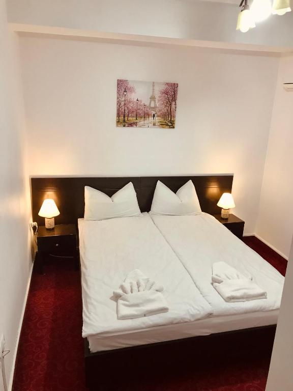 Postel nebo postele na pokoji v ubytování Apartamente 9 - Naomi