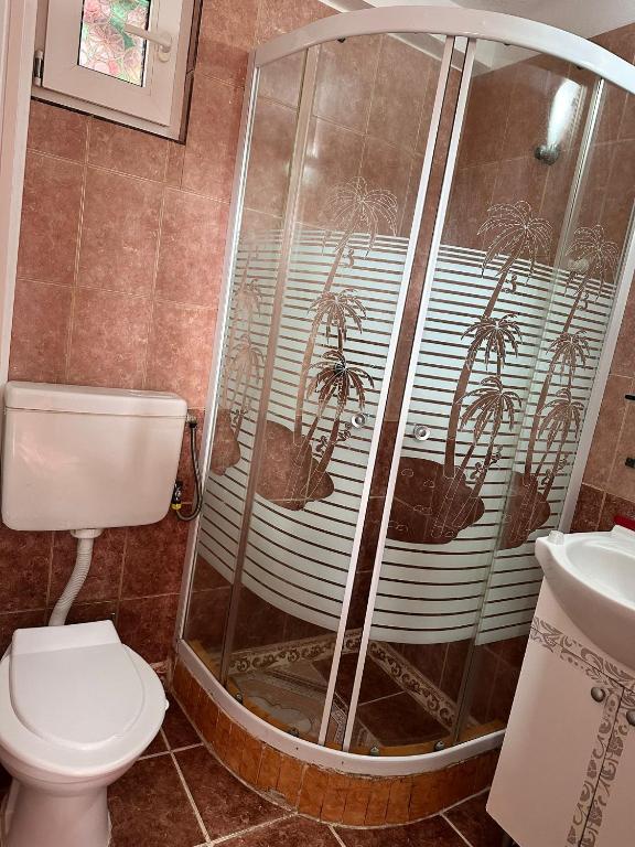 CASA NANESCU FOIȘOR