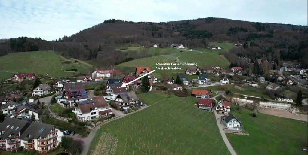 - une vue aérienne sur une petite ville avec des maisons dans l'établissement Renatas Ferienwohnung Sasbachwalden, à Sasbachwalden