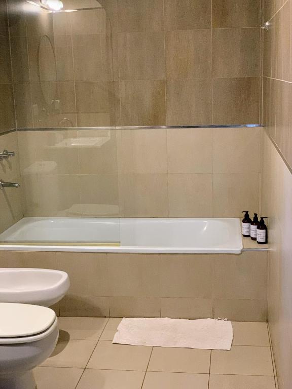 Un baño de Vivanco 1555. Tigre Centro. 3