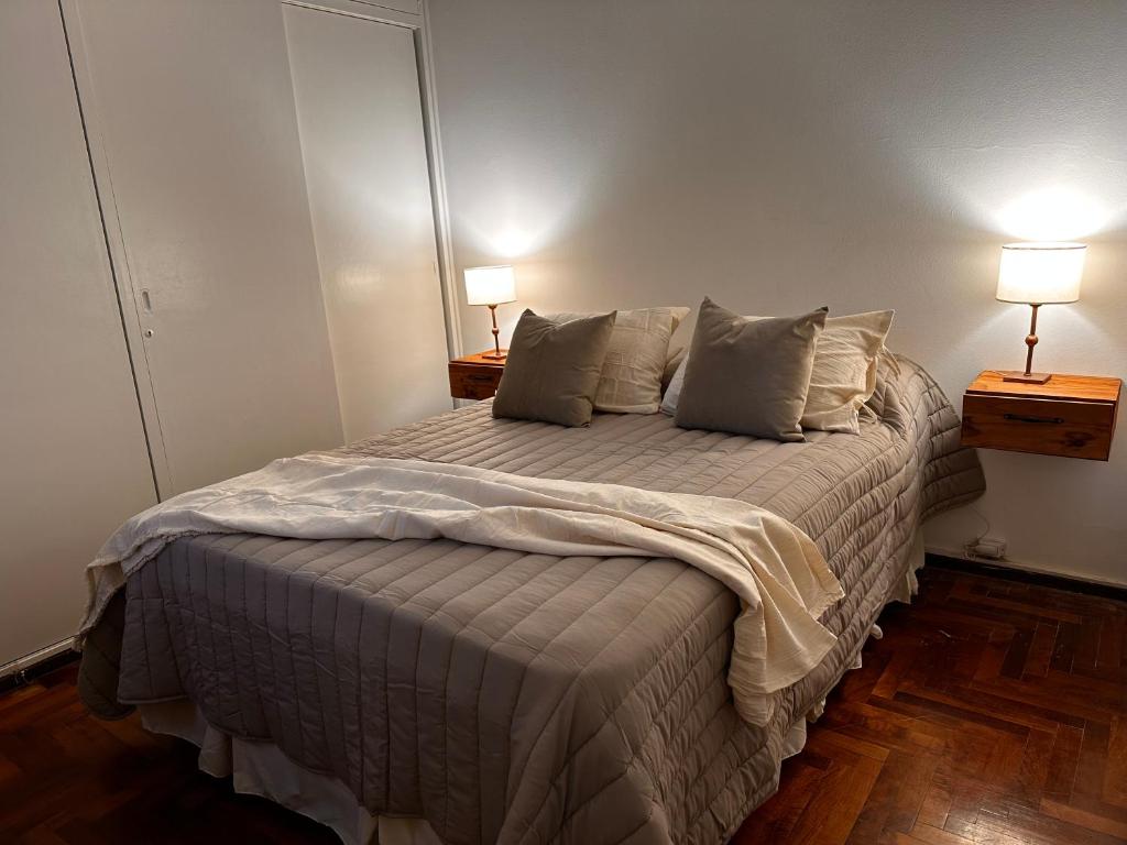 een slaapkamer met een groot bed met 2 lampen bij Elvi's apartment in Mendoza in Mendoza