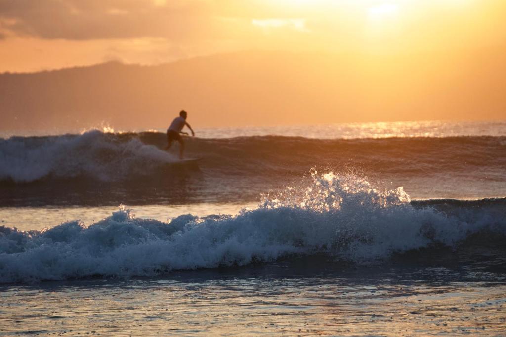 un hombre montando una ola en una tabla de surf en el océano en Hostel Esperanza en Pavones