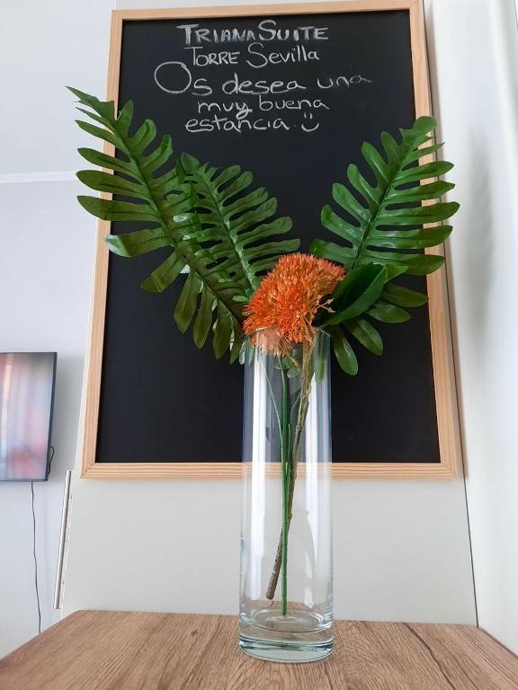 Sevilla Suite Torre Triana, parking free gratis! - 13